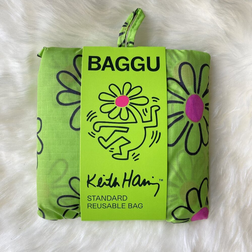 NWT Standard Baggu - Keith Haring Hearts